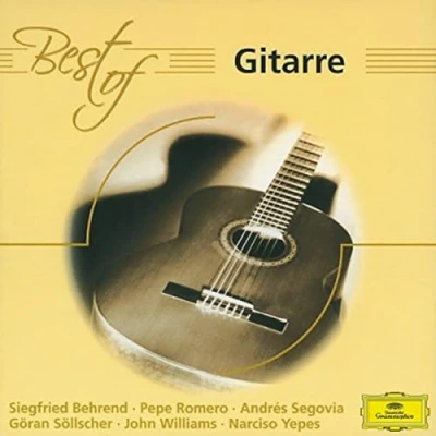 Afbeelding van Various Artists Best Of Gitarre (CD)