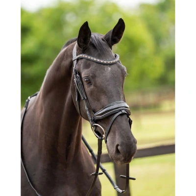 Afbeelding van HB Showtime Hoofdstel Las Vegas Zwart/Zwart Glitter Cob Agradi.be