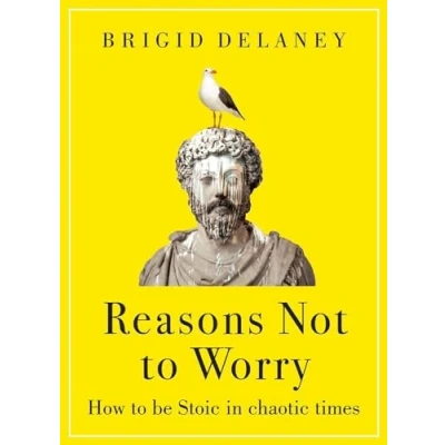 Afbeelding van Reasons Not to Worry
