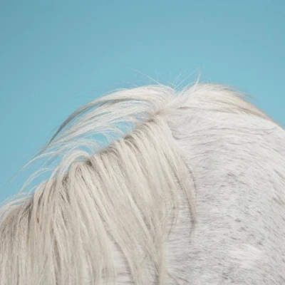 Afbeelding van Widowspeak All Yours (CD)