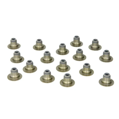 Afbeelding van Reinz Klepsteeldichting 12 53438 02