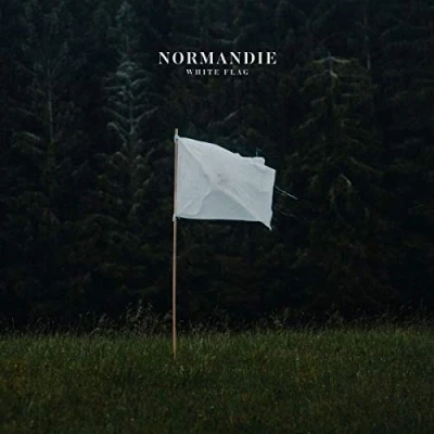 Afbeelding van WHITE FLAG