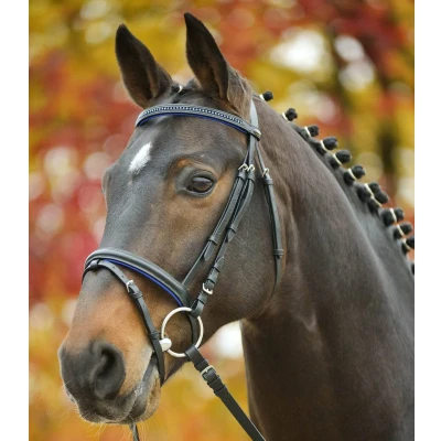 Afbeelding van Waldhausen STAR hoofdstel Diamant Pony Blauw