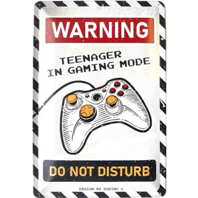 Afbeelding van Wandbord Humor Kinder Tiener Kamer Man Cave Warning Teenager In Gaming Mode Do Not Disturb