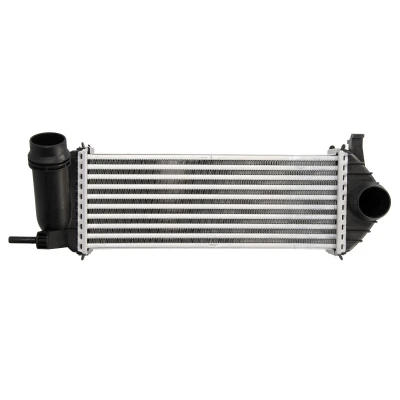 Afbeelding van THERMOTEC DAM019TT Intercooler RENAULT: Kangoo II Express, MERCEDES BENZ: Citan Panel Van