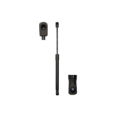 Afbeelding van Magnum Technology Gasveer MGS0032