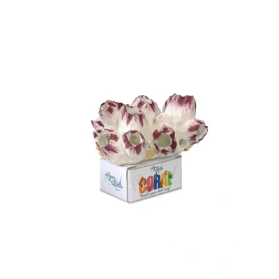 Afbeelding van Ebi Decor Koraal L 13.5x12.5x9.5 cm Paars Wit