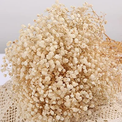 Afbeelding van Gedroogd boeket voor baby&#039;s, 43,7 cm, meer dan 2000 ivoorwitte bloemen, natuurlijke gypsophila takken bruiloft, tafelvaasdecoratie, bloemenkrans, feestdecoratie