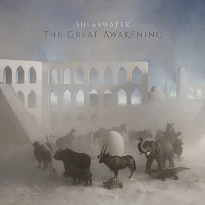 Afbeelding van Shearwater Great Awakening (2 LPs)