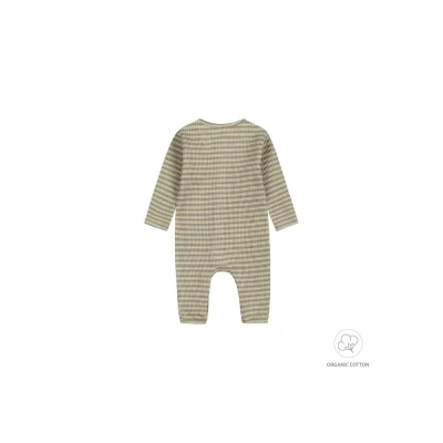 Afbeelding van Dirkje Boxpak Light Faded Green 62