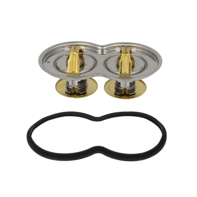 Afbeelding van Gates Poly V riemen kit K0110PK2495HD