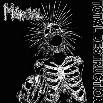 Afbeelding van Marginal Total Destruction (LP)