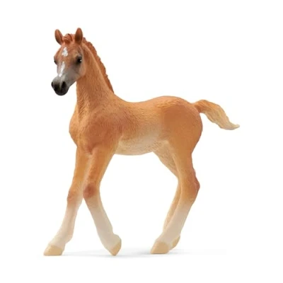 Afbeelding van Schleich horse club arabisch veulen 8 cm