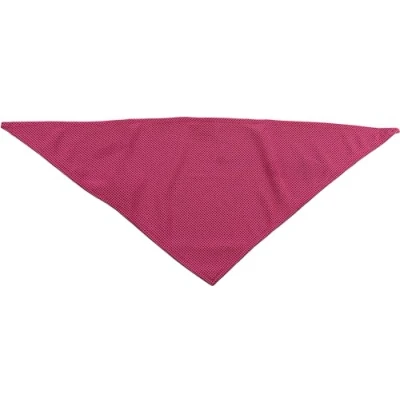 Afbeelding van Flamingo Cooling Bandana Fresk Roze S Koelbandana voor honden Hondenaccessoires