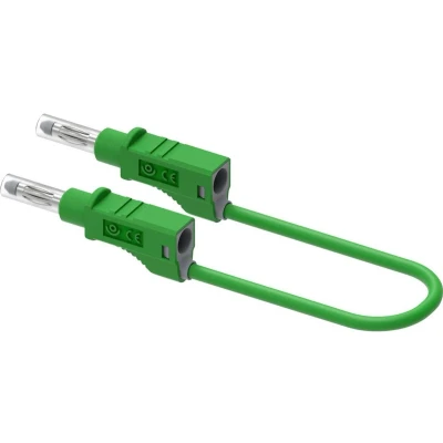 Afbeelding van Electro PJP 2211/600V CD1 100V Meetsnoer Bananenstekker 100 cm Groen 1 stuk(s)