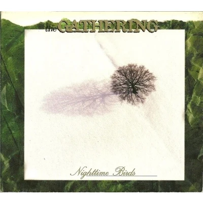 Afbeelding van Gathering Nighttime Birds (LP)