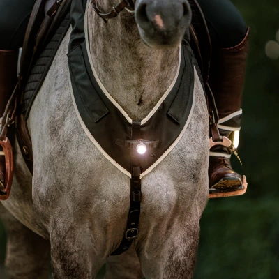 Image de Kavalkade Breastplate Horselight Front Lamp