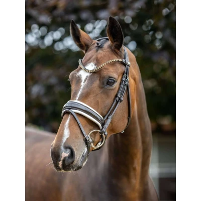Afbeelding van LeMieux Hoofdstel Kudos Patent Dressuur Bruin/Wit Cob Agradi.be