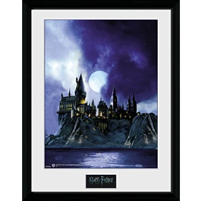 Afbeelding van Gb Eye Poster In Lijst Harry Potter Hogwarts Painting 30 X 40 Cm
