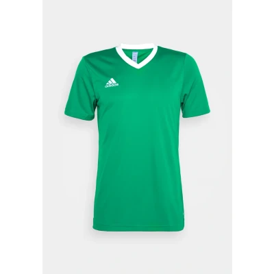 Afbeelding van adidas Homme Entrada 22 Jersey, Team Green/White, S