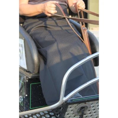 Image de HB Tablier de Conduite Noir