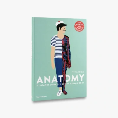 Afbeelding van Anatomy