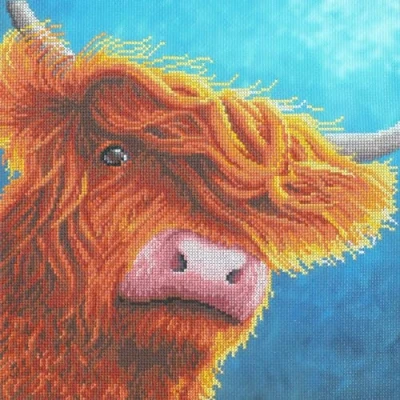 Afbeelding van Bothy Threads Rachel Froud Highlander borduren (pakket) XRF8