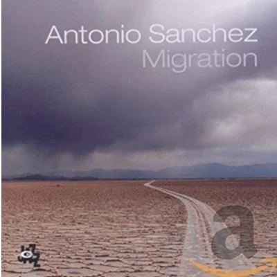 Afbeelding van Migration