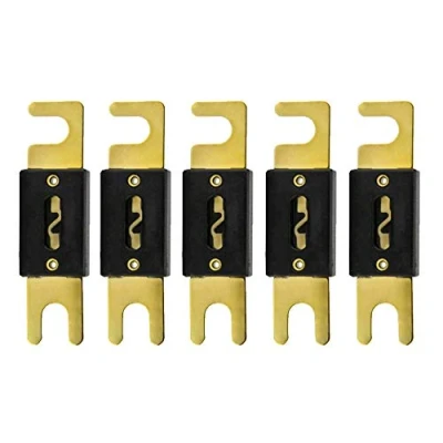 Afbeelding van Mintice 5 X 80A ANL Zekering Auto Audio Power Veiligheid Beschermen Vergulde Glazen Buis Bescherming