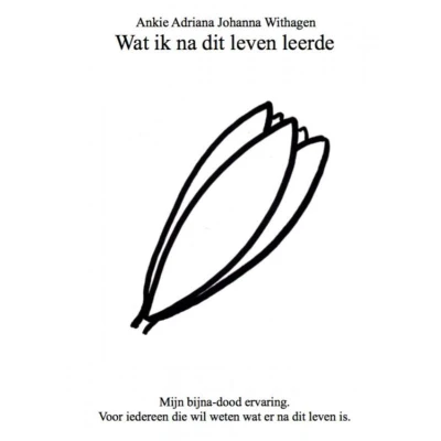 Afbeelding van Wat ik na dit leven leerde