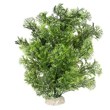 Afbeelding van Aqua Della Aquariumdecoratie Vissen Plant Phoenix L Height 30cm Donkergroen 1st