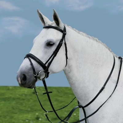 Afbeelding van Star Martingaal Zwart Pony