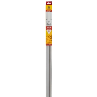 Afbeelding van Deltafix dorpelstrip met borstel zelfklevend transparant 1.10m x 36 mm 15