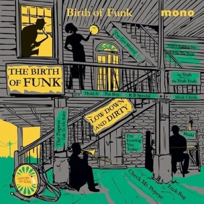 Afbeelding van Various Artists Birth Of Funk 1949 1962 (CD)