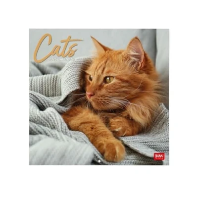 Afbeelding van Legami Wandkalender 2025, grote wandkalender, 30 x 29 cm, 12 maanden en jaarplanner, ruimte voor notities notities, 6 talen, sterrenbeelden internationale feesten, katten