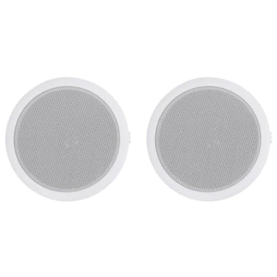 Image de vidaXL Haut parleurs muraux et de plafond intégrés 2 pcs 120 W70165