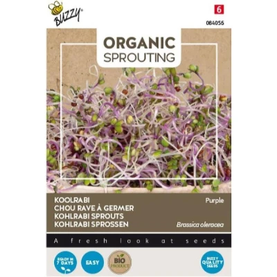 Afbeelding van Buzzy Organic Spruitgroente Koolrabi blauwpaars (BIO)
