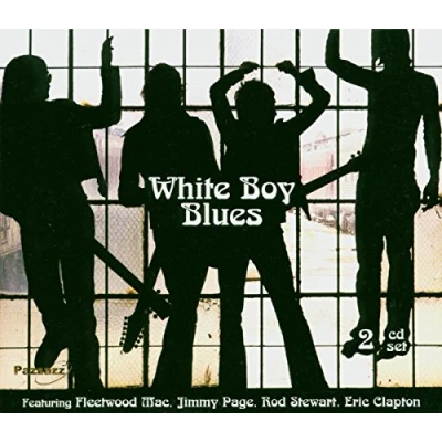 Afbeelding van Various Artists White Boy Blues (2 CD)