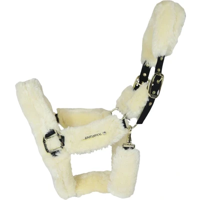 Afbeelding van Kentucky Horsewear Sheepskin Shipping Halter Naturel Pony