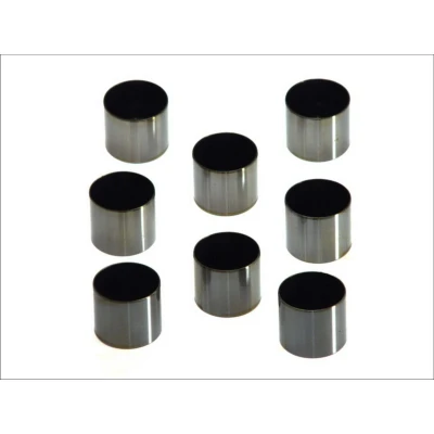 Afbeelding van KOLBENSCHMIDT 50007548 Klepstoters Mechanisch Aan beide zijden RENAULT: MEGANE 2 Coupe Cabriolet, TRAFIC Bus, SCENIC 3, DACIA: Duster Van
