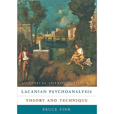Afbeelding van A Clinical Introduction to Lacanian Psychoanalysis