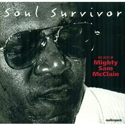 Afbeelding van Mighty Sam McClain Soul Survivor The Best Of (CD)