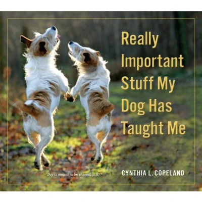 Afbeelding van Really Important Stuff My Dog