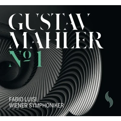 Afbeelding van Wiener Symphoniker, Fabio Luisi Mahler: Symphony No.1 (2 LP)