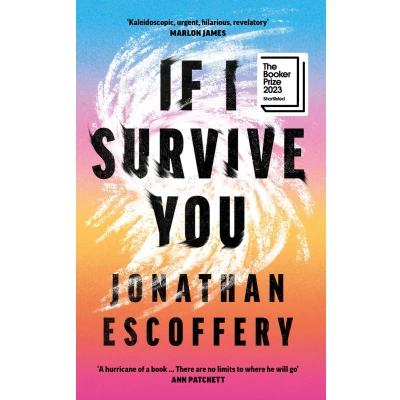 Afbeelding van If I Survive You