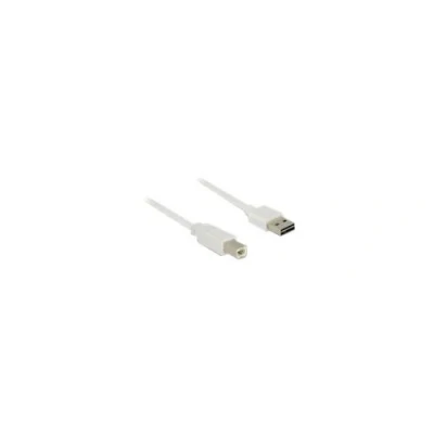Image de Delock Easy Câble USB (M) reversible pour type B 2.0 2 m blanc