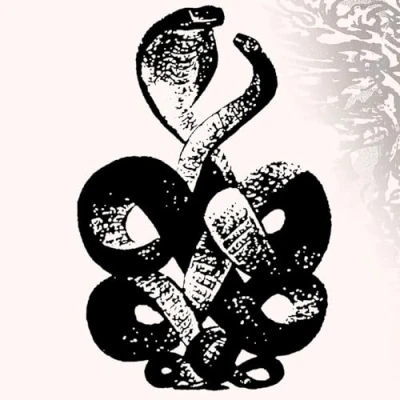 Afbeelding van Bardo Pond Volume 4 &amp; 5 (LP)
