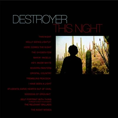 Afbeelding van Destroyer This Night (2 LPs)