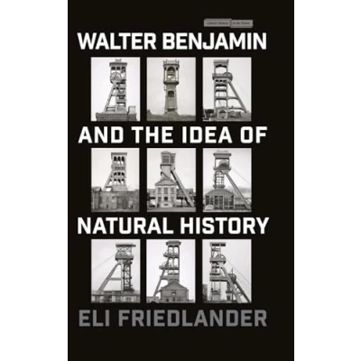 Afbeelding van Cultural Memory in the Present Walter Benjamin and Idea of Natural History