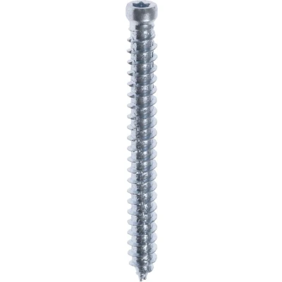 Afbeelding van FIS FIX Beton kozijnschroeven 7.5 x 132 mm cilinderkop staal verzinkt TX30 (Per 100 stuks)